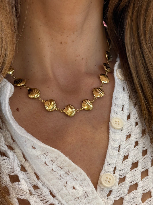Collier coquillages or